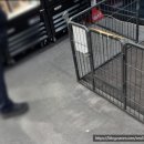 펫클럽 계양점 이미지