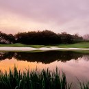 알프스 당구장 이미지