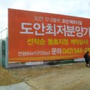 도안애드