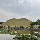 황금찹쌀꽈배기 경주점 네이버블로그
