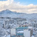 파라스파라 서울 이미지