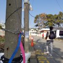 부경대학교수산과학연구소 이미지