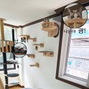 냥놀자 네이버블로그