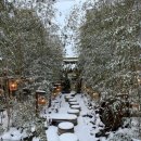 우림(아) 이미지