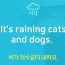 권샘영어