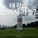 태광컨트리클럽 | 태광cc 반바지 가능할까? 7월 태광컨트리클럽 폭염 라운딩 후기
