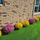 고덕반디유치원 이미지