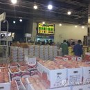 원주시 농산물공영도매시장 이미지