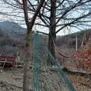 다락골구름밭 /해먹 치유농장 이미지