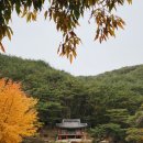 수승대 오토캠핑장 네이버블로그