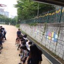 소안초등학교1 이미지