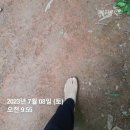 월아슈퍼 이미지