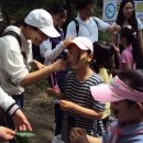 율목초등학교 이미지