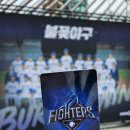 250427 불꽃야구 직관 후기 파이터즈 vs 동국대 + 퇴근길 스포?