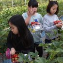 함께하는 농장 이미지