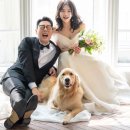 영기축사 이미지