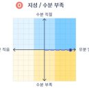 지성빌딩 | 관리 9,000원 첫방문 프로모션 | 피부촬영 상세분석 | 지성피부 |내돈내산 리얼후기 | 상담 실장님 추천