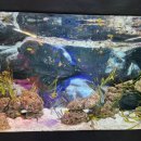 하정초등학교 이미지