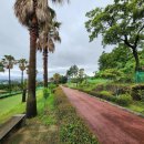 월라봉파크골프장 이미지