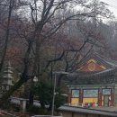 남부순환로328길 49__ 이미지