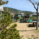 부산축산농협 축산물종합프라자 이미지