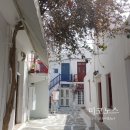 리틀미코노스6 이미지