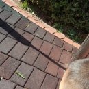 넘은들근린공원 이미지