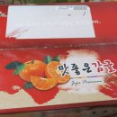 타이벡감귤 당도 높은 달달한 제주감귤