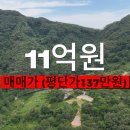 성심부동산중개인 이미지