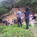 황룡뿌리(흑염소농장) 이미지