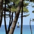 소돌23 | 강릉 숙소 추천 소돌23풀빌라 V301 후기 🏡