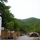 핫캠핑장 이미지
