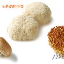 색다른 풍미의 특별한 버섯 이미지