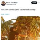 코코넛19 이미지