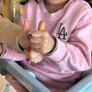 호텔알베로 | 🍷검단 스테이크 맛집 알베로｜아이동반 가능한 완정역 인천 검단 맛집