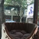 양산펫샵119