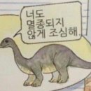답양 이미지