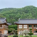 순종관