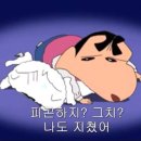 비욘드한복단