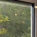 대한정보통신 | 통신이용자정보 제공 사실 통지 문자 수신 후 정보공개청구