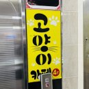 냐옹냐옹고양이카페 이미지