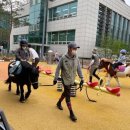 진흥축산 이미지