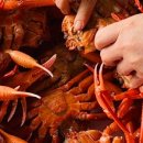 뚱보수산 이미지