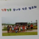 능소화꿈나무 이미지