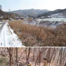 봉1리 경로당 이미지