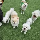 칠곡유치원 이미지