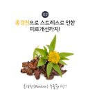 안티스트레스