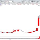 에스와이트레이딩 이미지