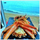 명성회타운 | 영덕의 맛집 명성회타운에서 경험한 환상적인 바다뷰 회 맛집 리뷰:)