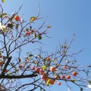 흥산2리 이미지